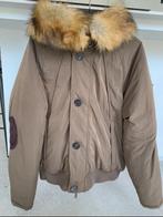 ARMANI wintervest heren, Kleding | Heren, Jassen | Winter, Ophalen of Verzenden