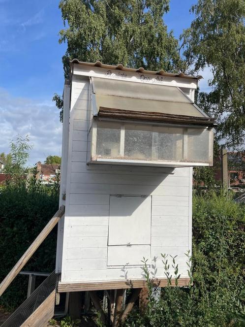 GRATIS Duivenhok, Dieren en Toebehoren, Vogels | Duiven