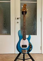 Shortscale Sterling By Music Man Stingray, Ophalen, Nieuw