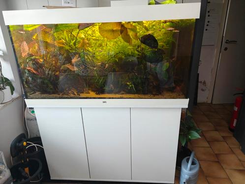 Juwel Rio 350 met Kast, Dieren en Toebehoren, Vissen | Aquaria en Toebehoren, Zo goed als nieuw, Ophalen