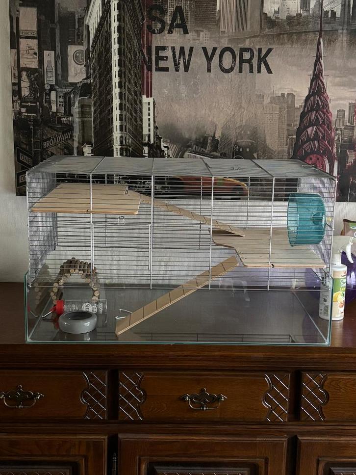 Knaagdier kooi met glasbodem en verdiepen en toebehoren, Dieren en Toebehoren, Knaagdieren en Konijnen | Hokken en Kooien, Gebruikt