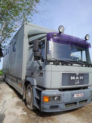 MAN paardenvrachtwagen, Ophalen of Verzenden
