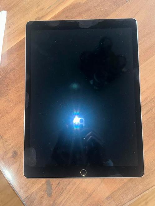 iPad Pro 12,9-inch wifi, Computers en Software, Apple iPads, Zo goed als nieuw, Wi-Fi, 9 inch, 128 GB, Ophalen