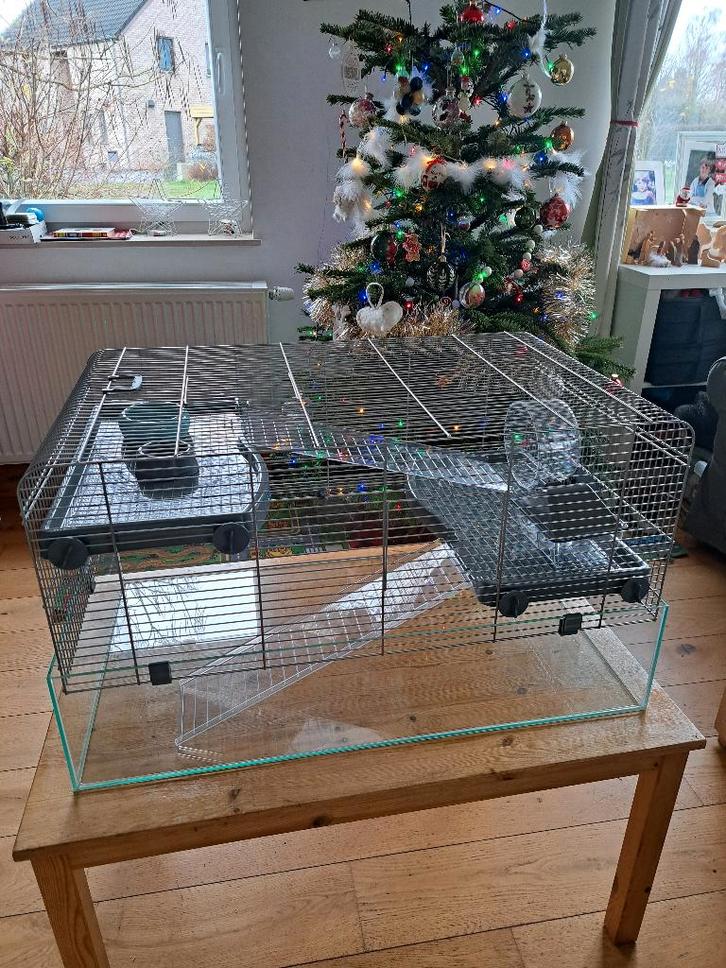 Grande cage pour hamster, Dieren en Toebehoren, Knaagdieren en Konijnen | Hokken en Kooien, Zo goed als nieuw, Kooi, Minder dan 60 cm