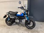 Honda Monkey 125 fun minibike in showroomstaat (bj 2021), Motoren, Motoren | Honda, Bedrijf, 125 cc, Overig, 11 kW of minder