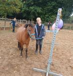 NMPRS Merrie  2,5 jaar en TOP braaf!, Merrie, Gechipt, A pony (tot 1.17m), Onbeleerd