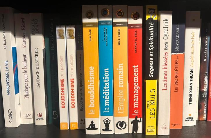 Beaucoup de livres a vendre, Livres, Psychologie, Utilisé, Enlèvement