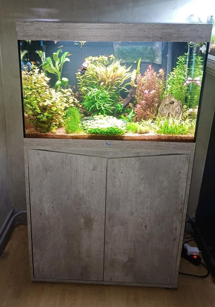 Aquatlantis aquarium 170liter,zie omschrijving, Ophalen, Aquatlantis, Zo goed als nieuw, Filter
