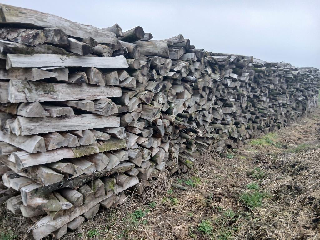 Bois de chauffage, Jardin & Terrasse, Bois de chauffage, 3 à 6 m³, Enlèvement, Autres essences de bois, Bûches