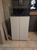 Aquarium recifal lire description, Enlèvement