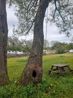 huis,  gelijkvloers appartement... verhuur!!!, Immo, Direct bij eigenaar, 3 kamers, Provincie Limburg