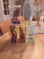 5 kleine bakjes voor springspin, Enlèvement, Comme neuf, Terrarium ou Paludarium