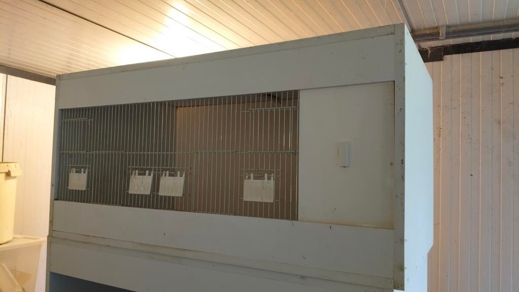 Kunststof kweekkooien, Ophalen