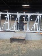 Black agnus vaars, Dieren en Toebehoren