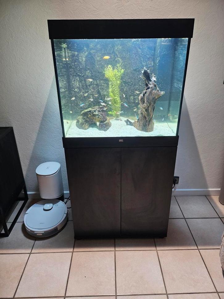 Juwel Lido 200, Dieren en Toebehoren, Vissen | Aquaria en Toebehoren, Gevuld zoetwateraquarium, Ophalen