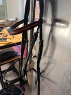 Hoofdstel cob / paard, Enlèvement, Utilisé, Récréation