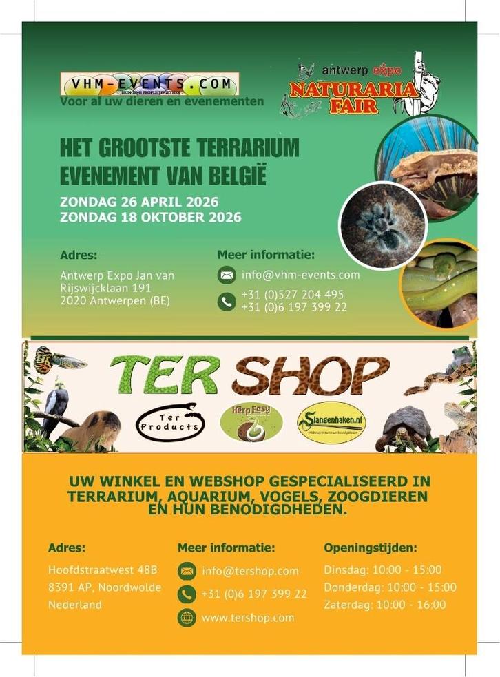Foire Naturaria d'Anvers 26-04-2026 grande de Belgique, Animaux & Accessoires, Reptiles & Amphibiens, Amphibien