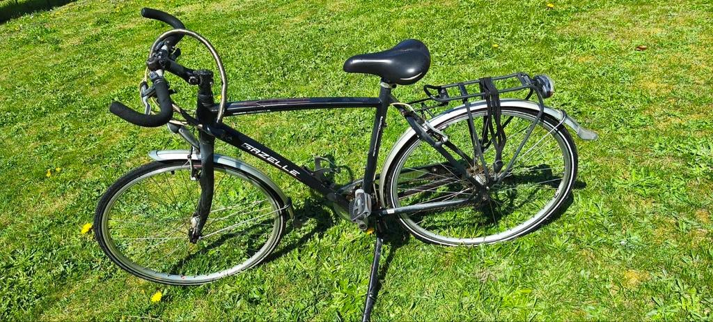 Herenfiets Gazelle Excellent Ultimate, Ophalen, Velgrem, 49 tot 53 cm, Meer dan 20 versnellingen