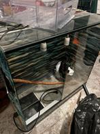 Grand terrarium équipé – 120 x 40 x 80 cm – prêt à l’emploi, Enlèvement, Utilisé, Terrarium ou Paludarium