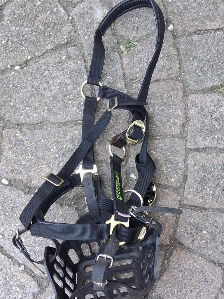 Greenguard avec la taille d'un licou, Animaux & Accessoires, Chevaux & Poneys | Brides & Harnachement, Enlèvement