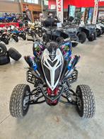 YAMAHA RAPTOR 700, Motoren, Quads en Trikes, 686 cc, 4 cilinders, 12 t/m 35 kW