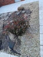 Grind GRATIS, Tuin en Terras, Ophalen, Gebruikt, Grind