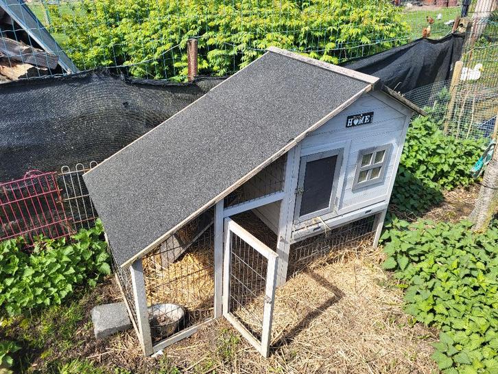 Buitenhok konijn, Dieren en Toebehoren, Knaagdieren en Konijnen | Hokken en Kooien, Gebruikt, Hok, Konijn, Ophalen