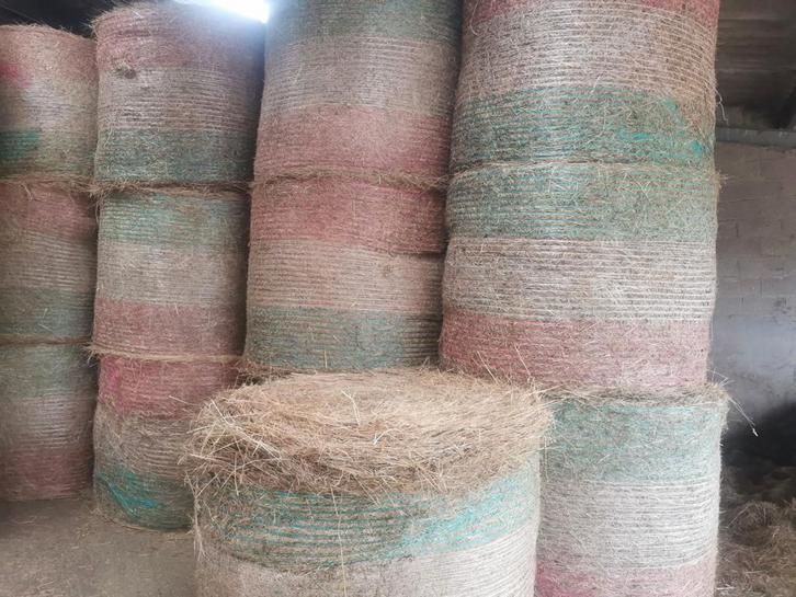 Aandacht  Bollen Hooi stro voordroog zie  0479110101, Dieren en Toebehoren, Dierenvoeding, Ophalen