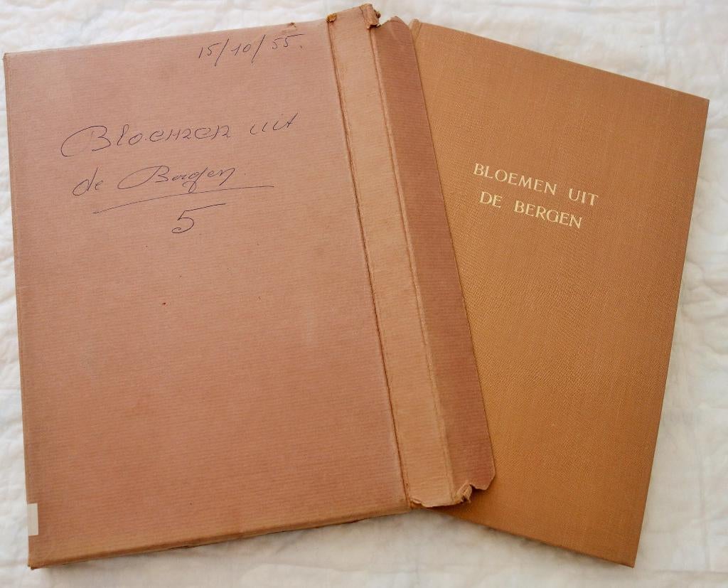 Artis Prentenalbum Bloemen uit de bergen (1954)., Livres, Livres d'images & Albums d'images, Enlèvement ou Envoi, Comme neuf, Artis historia