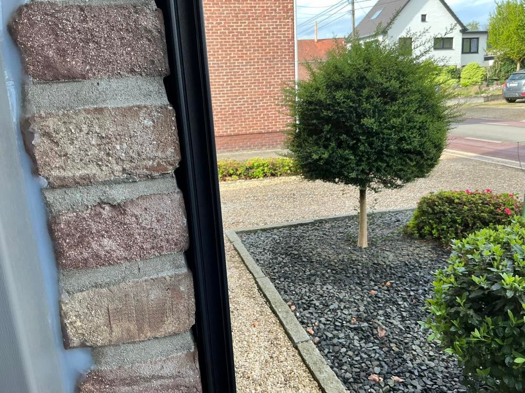 Boom voor tuin, Ophalen