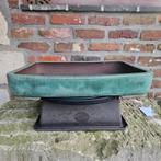 Bonsai Schaal Japan., Tuin en Terras, Planten | Bomen, Ophalen, In pot