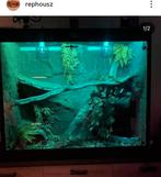 Osb3 terrarium RepHouSZ. Ook maatwerk, Ophalen, Nieuw, Terrarium of Paludarium