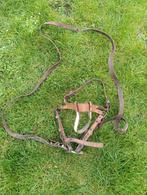 Ancien Bridon de Cheval de Trait - Cuir & Bouclerie Attelage, Enlèvement, Utilisé, Autres espèces