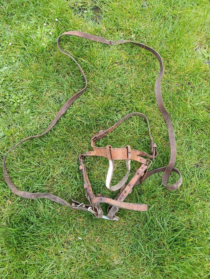 Ancien Bridon de Cheval de Trait - Cuir & Bouclerie Attelage, Animaux & Accessoires, Chevaux & Poneys | Brides & Harnachement