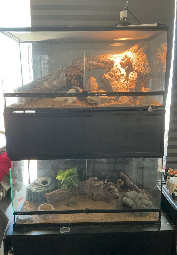 Terrarium a vendre, Animaux & Accessoires, Reptiles & Amphibiens | Accessoires, Utilisé, Terrarium ou Paludarium, Enlèvement