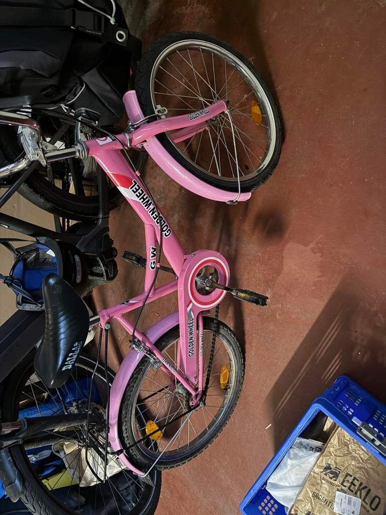 Meisjesfiets 20inch, Vélos & Vélomoteurs, Vélos | Filles, Enlèvement, Utilisé, 20 pouces