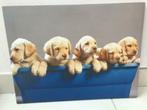 Posterframe voor puppy's, Verzamelen, Posters, Rechthoekig Liggend, Ophalen of Verzenden, Zo goed als nieuw, Canvas of Doek