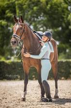 Wandel/ weide paardje te koop, Dieren en Toebehoren, Paarden, Merrie, Gechipt, Dressuurpaard, L