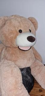 Teddy beer xxl, Ophalen, Nieuw, Beer
