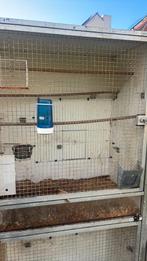 Kweekkooien, Ophalen, Zo goed als nieuw, Aluminium