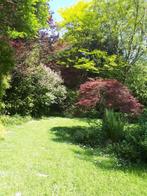 Huis met manege te koop — regio Binche, Immo, Provincie Henegouwen, 3 kamers, 400 m², Vrijstaande woning