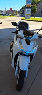 Honda SH 125 cc, Motoren, Scooter, Particulier, 125 cc, 11 kW of minder