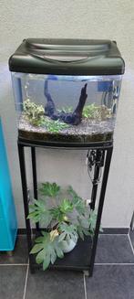 aquarium met alle toebehoren, Ophalen, Gebruikt