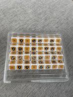 Basis dibbelstenen dice Too many bones, Drie of vier spelers, Ophalen of Verzenden, Nieuw, Chip Theory Games