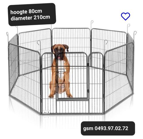 hondenren-puppyren, Dieren en Toebehoren, Hondenhokken, Nieuw, Ophalen of Verzenden