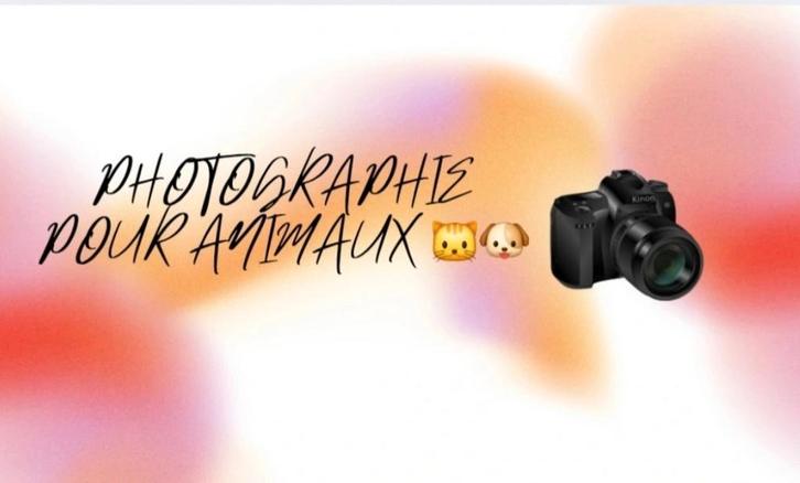 Photographie Pour Animaux, Divers, Divers Autre, Neuf, Enlèvement