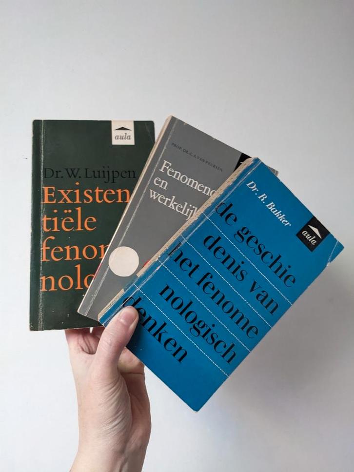 Drie boeken over filosofie van Aula, Livres, Philosophie, Utilisé, Enlèvement ou Envoi