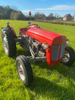 Massey Ferguson TEF 20 1953, Zakelijke goederen, Landbouw | Tractoren, Ophalen, Massey Ferguson