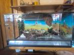 Terrarium complet, Dieren en Toebehoren, Verlichting