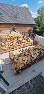Hout in paletten van 3m x 1m, Tuin en Terras, Brandhout, Ophalen